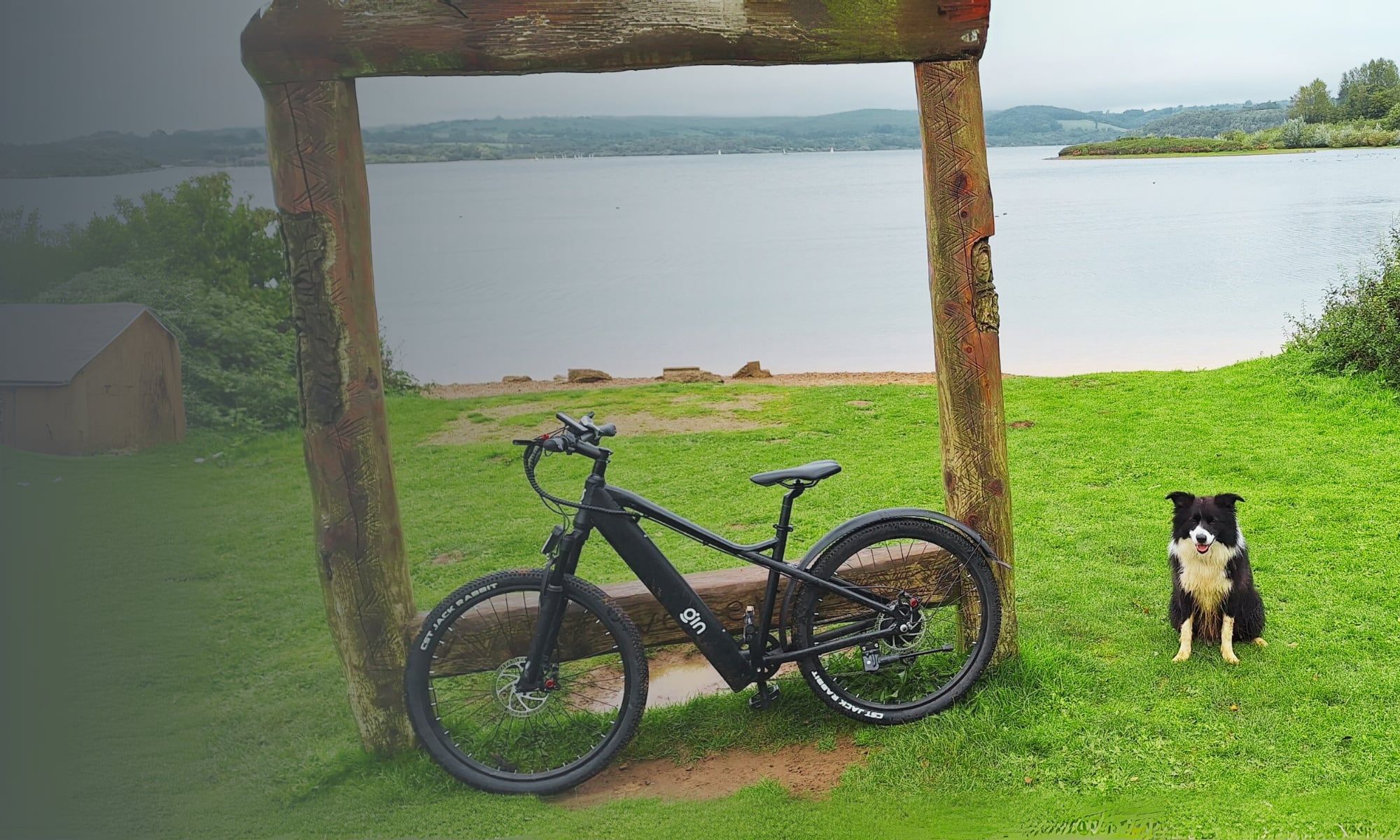 A black PLUTO e-bike by a lake with a dog
